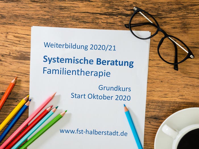 Read more about the article Grundkurs WB Systemische Beratung / Familientherapie am FST Halberstadt